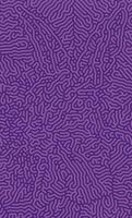 Purple Turing reaction diffusion pattern with abstract motion vector