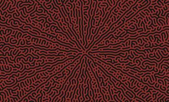 Red and Black turing pattern structure oraganic lines background vector