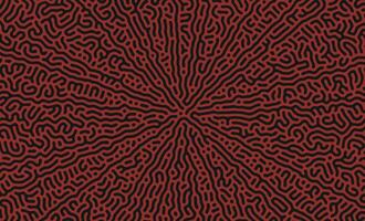 Red and Black turing pattern structure oraganic lines background vector