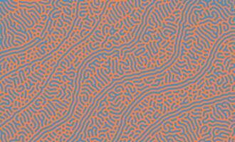 Blue and Orange organic turing irregular lines background with unique pattern design vector