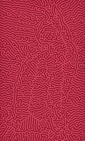 Red Turing reaction diffusion pattern with abstract motion vector
