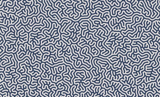 White and Blue Turing Diffusion Abstract Organic Pattern