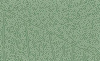 Greenish Abstract turing pattern. Nature texture. Ethnic wallpaper vector
