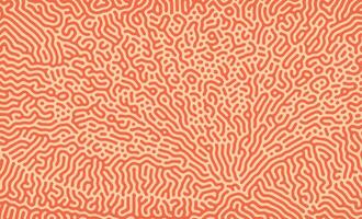 Orange Abstract turing pattern. Nature texture. Ethnic wallpaper vector