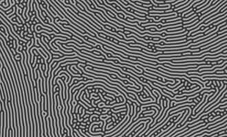 Abstract turing pattern. Nature texture. Ethnic wallpaper vector