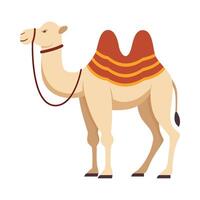 Flat illustration of camel on isolated background vector