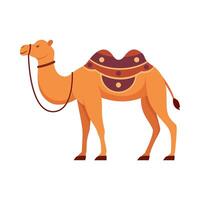 Flat illustration of camel on isolated background vector