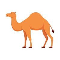 Flat illustration of camel on isolated background vector