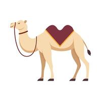 Flat illustration of camel on isolated background vector