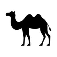 Camel silhouette flat illustration on isolated background vector