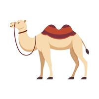 Flat illustration of camel on isolated background vector