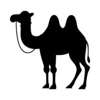 Camel silhouette flat illustration on isolated background vector