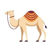 Flat illustration of camel on isolated background vector