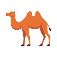 Flat illustration of camel on isolated background vector