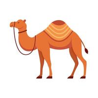 Flat illustration of camel on isolated background vector