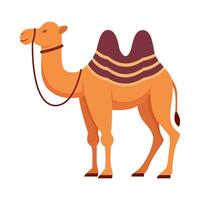 Flat illustration of camel on isolated background vector