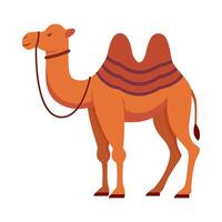 Flat illustration of camel on isolated background vector