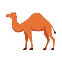 Flat illustration of camel on isolated background vector