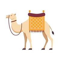 Flat illustration of camel on isolated background vector