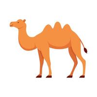 Flat illustration of camel on isolated background vector