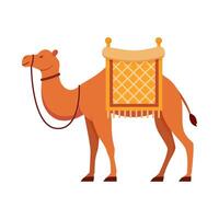 Flat illustration of camel on isolated background vector