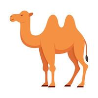 Flat illustration of camel on isolated background vector