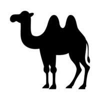 Camel silhouette flat illustration on isolated background vector