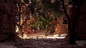 A stone walkway with trees and a building in the background video