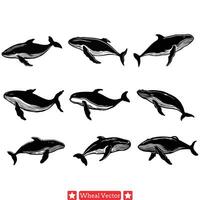 Oceanic Elegance Explore the Depths with Stunning Whale Silhouette Designs vector