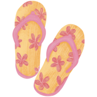 Illustration of sandals isolated on transparent background. png