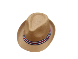 Classic straw hat png