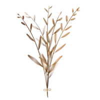 A Bunch of Brown Plants on a Transparent Background png