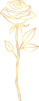 Rose flower with golden foil effect. png