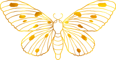 Butterfly in doodle style with golden foil effect. png