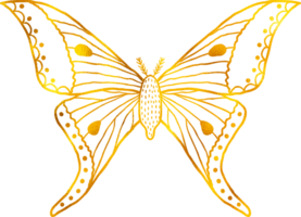 Butterfly in doodle style with golden foil effect. png