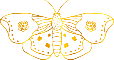 Butterfly in doodle style with golden foil effect. png