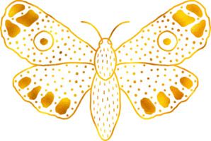 Butterfly in doodle style with golden foil effect. png