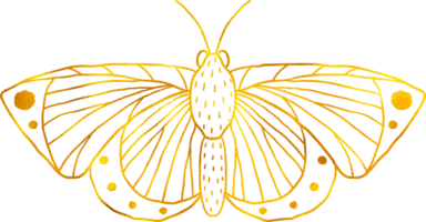 Butterfly in doodle style with golden foil effect. png