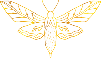 Butterfly in doodle style with golden foil effect. png