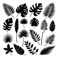 Exotic leaf set 2d collection of tropical leaves silhouette vector