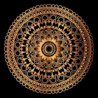 golden mandala design with a black background vector