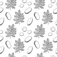Potatoes seamless pattern Hand drawn engraved food background with potato plant fruit, leaf, heaps, whole vegetables, sliced pieces. Drawn sketch style ornament for paper, menu, wrapping, label vector