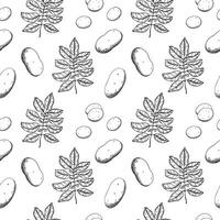 Potatoes seamless pattern Hand drawn engraved food background with potato plant fruit, leaf, heaps, whole vegetables, sliced pieces. Drawn sketch style ornament for paper, menu, wrapping, label vector