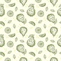 Bergamot seamless pattern. Repeating background with engraved citrus fruit plant for textile, wrapping, card, label, template, print, paper. Aromatherapy, flavouring tea, bergamot oil, cosmetics vector