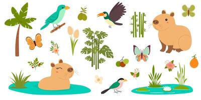 set with cute capybara. Birds, butterflies, bamboo, swamp, mango. Created a collection of elements for scrapbooking. Logo, print, poster, design template. vector