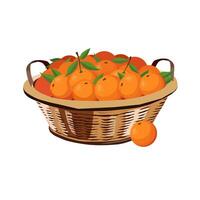 Wicker basket full of healthy and juicy red oranges isolated on white background. fruit illustration in flat style. Summer clipart for design of card, banner, flyer, poster vector