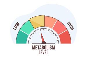 Flat illustration of metabolism level scale with arrow and measurement value. High and low nutrient metabolic rate. Infographic gauge element with speedometer indicators on white background. vector