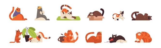 Flat cute ginger cats and kitty in different funny poses. Playful happy domestic feline animals doing yoga, playing with ball, hiding in box and liying. Fat lazy fluffy pets sitting in sweater and hat vector