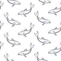 Dolphin seamless background. Swimming fish sketch pattern. Underwater marine life pattern. png