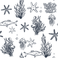 Undersea seamless background. Swimming starfish, coral, jellyfish sketch. Underwater marine life pattern. png